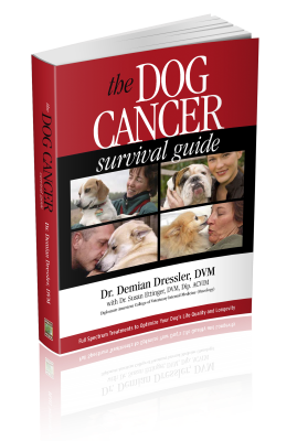 Dog Cancer Survival Guide Front Cover
