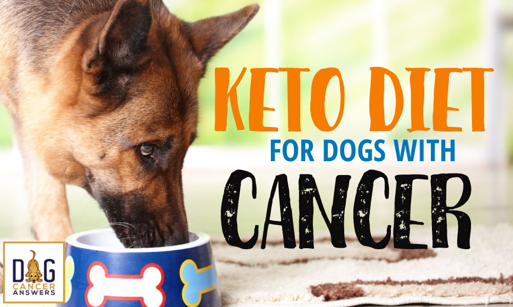 Keto Diet for Dogs with Cancer
