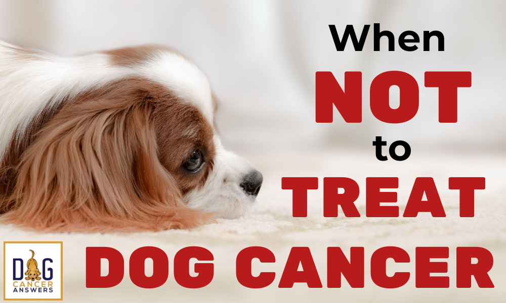 When Not to Treat Dog Cancer