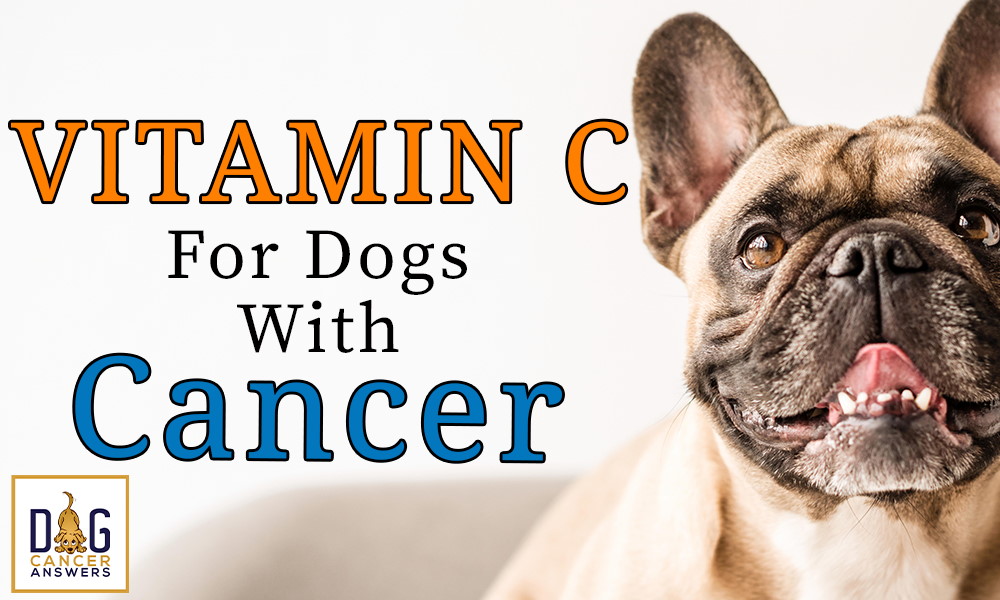 Vitamin C for Dogs with Cancer