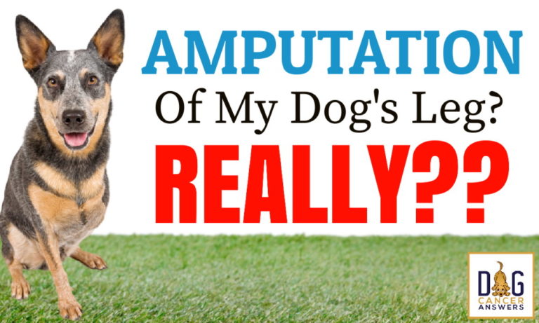 Amputation of Dog Leg? Really?? │ Dr. Demian Dressler Q&A