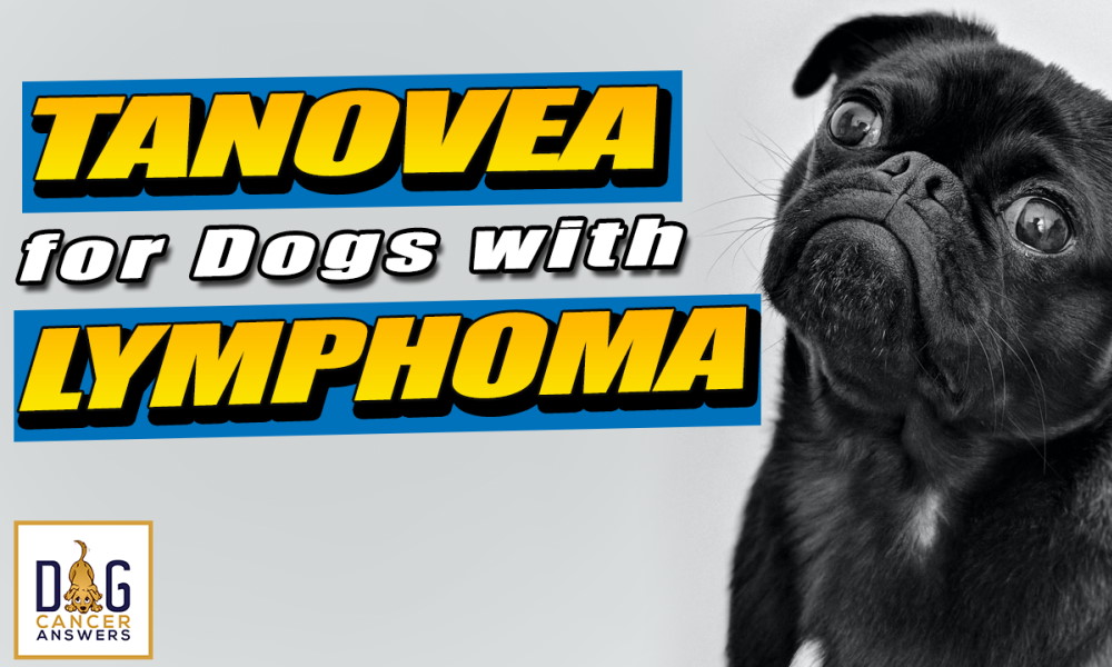Tanovea for Dogs with Lymphoma
