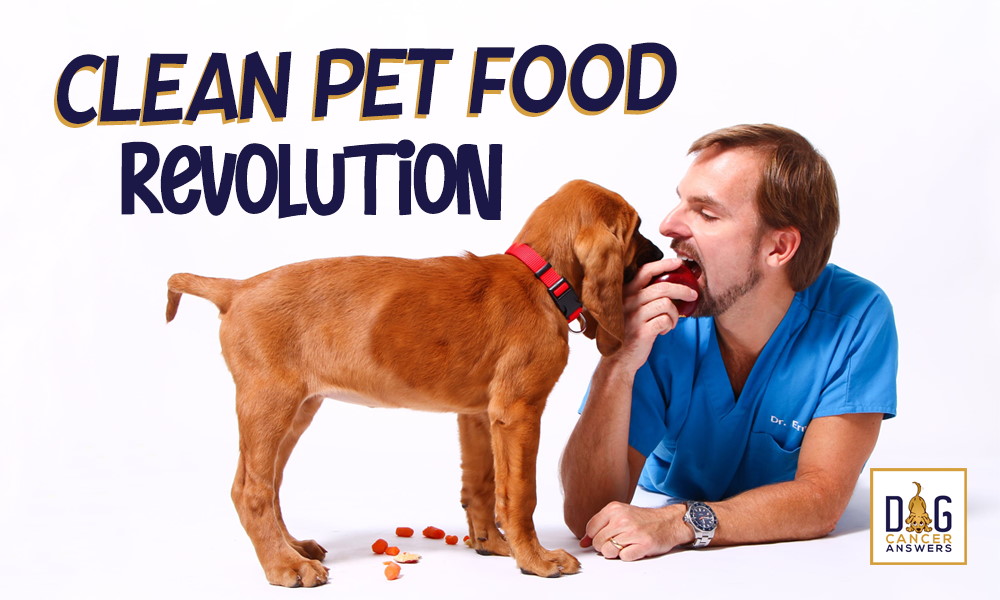 The Clean Pet Food Revolution
