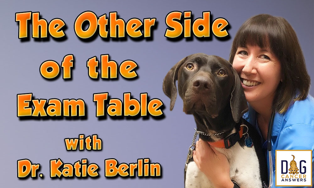 The Other Side of the Exam Table with Dr. Katie Berlin