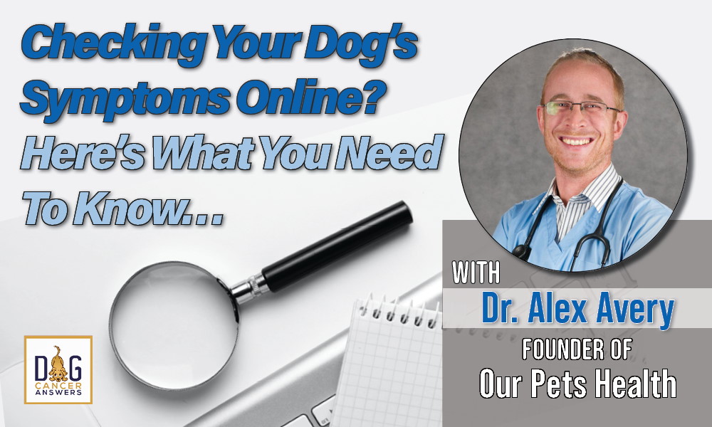 Checking Your Dog’s Symptoms on the Internet? Here’s What You Need to Know
