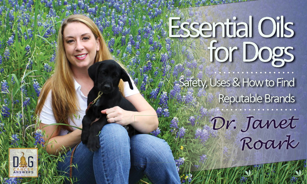 Janet Roark - Essential Oils for Dogs
