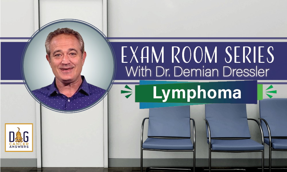 Exam Room Series - Lymphoma
