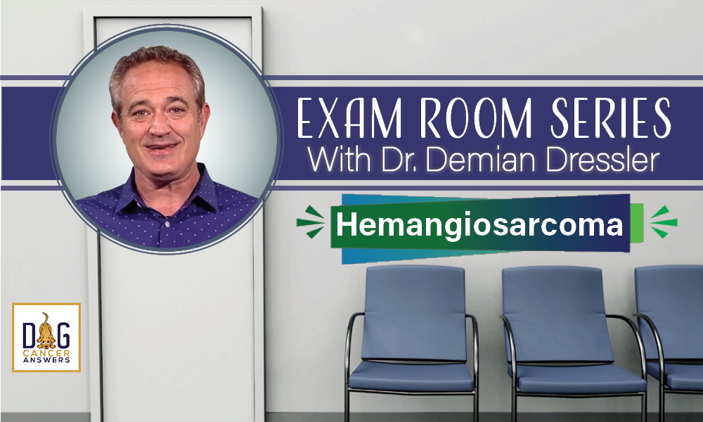 Exam Room Series - Hemangiosarcoma