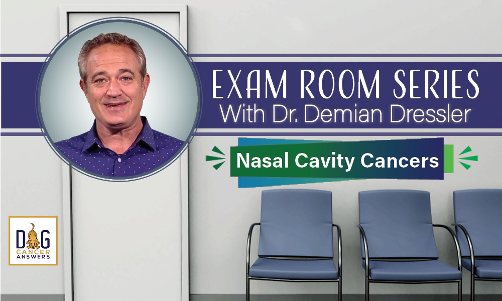 Exam Room Series: Nasal Cavity Cancers