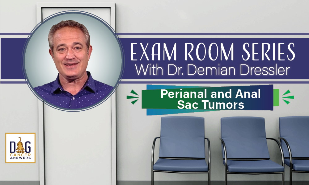 Exam Room Series: Perianal and Anal Sac Tumors