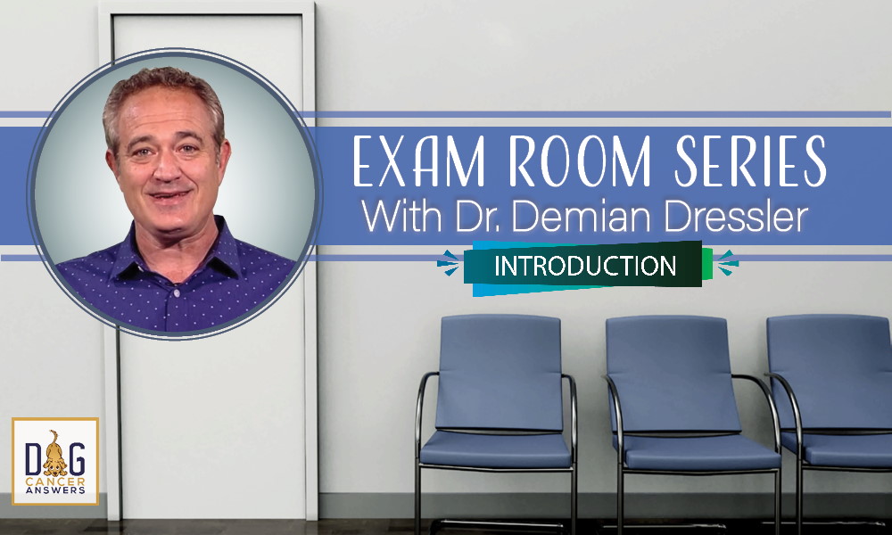Exam Room Series: Introduction