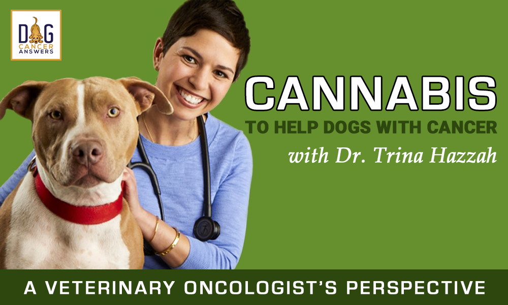 Dr. Trina Hazzah - Cannabis to Help Dogs with Cancer