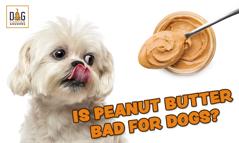 Is Peanut Butter Bad for Dogs