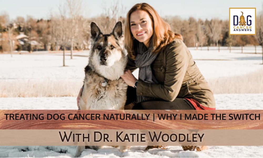 Treating Dog Cancer Naturally | Dr. Katie Woodley