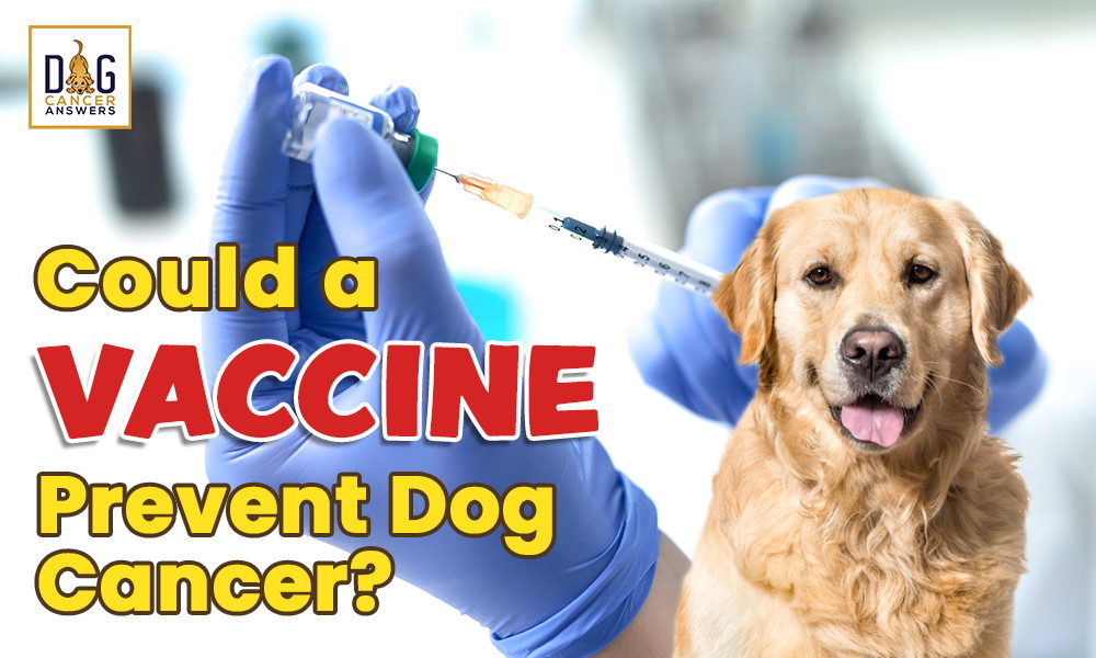 Could a vaccine prevent dog cancer