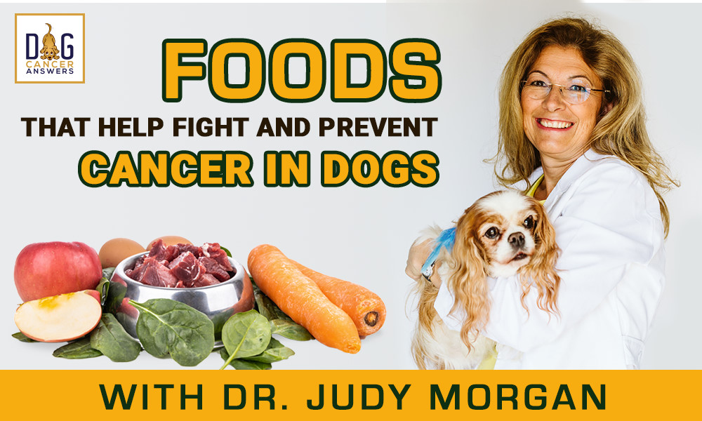 Foods that help prevent cancer in dogs