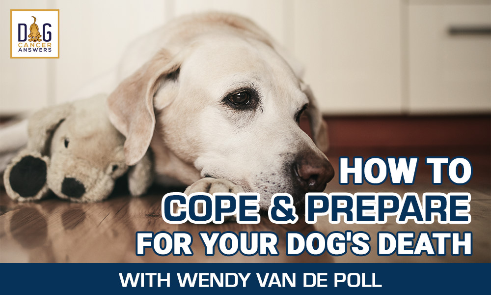 How-to-cope-and-prepare-for-your-dog's-death