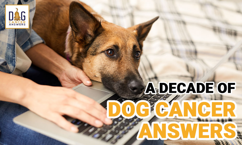 A Decade of Dog Cancer Answers with Dr. Demian Dressler