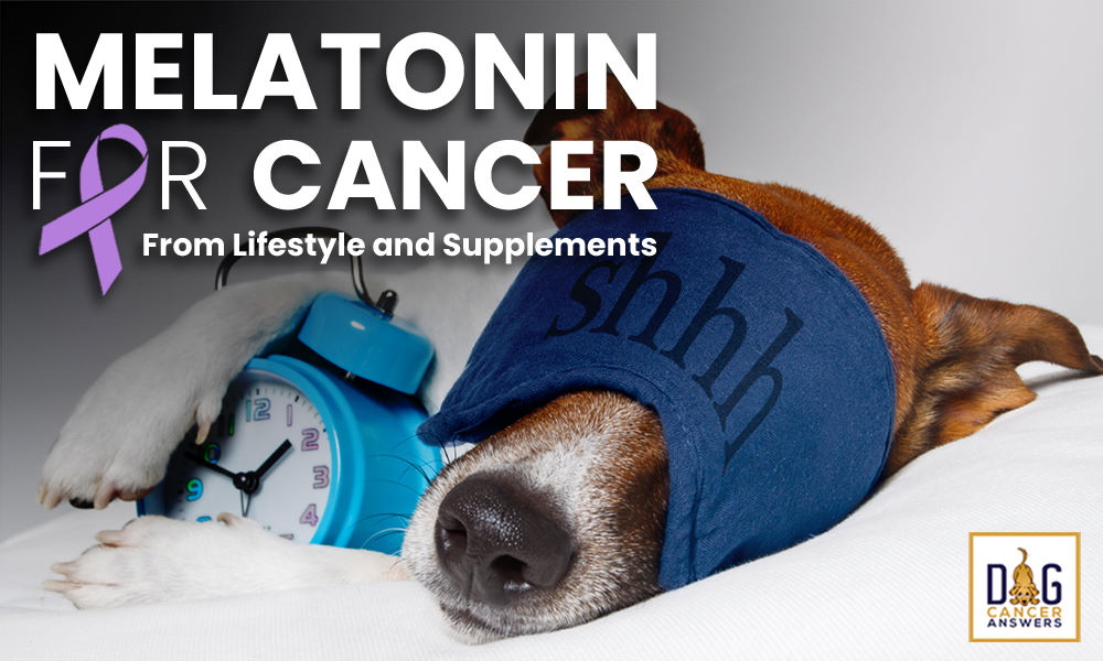 Melatonin for Cancer from Lifestyle and Supplements