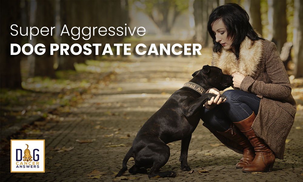 Super Aggressive Dog Prostate Cancer
