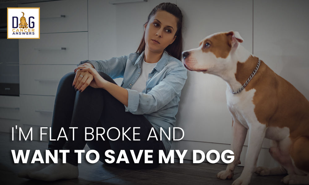 I'm Flat Broke and Want To Save My Dog