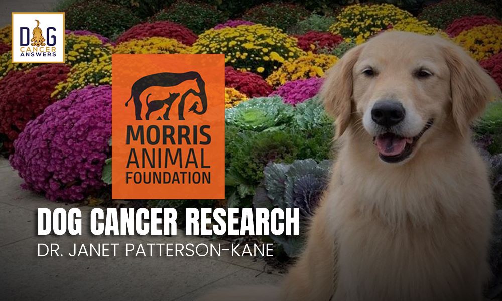 Morris Animal Foundation's Dog Cancer Research with Dr. Janet Patterson-Kane