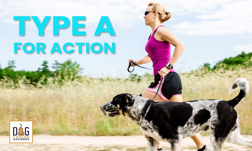 How Type A for Action Treats Dog Cancer