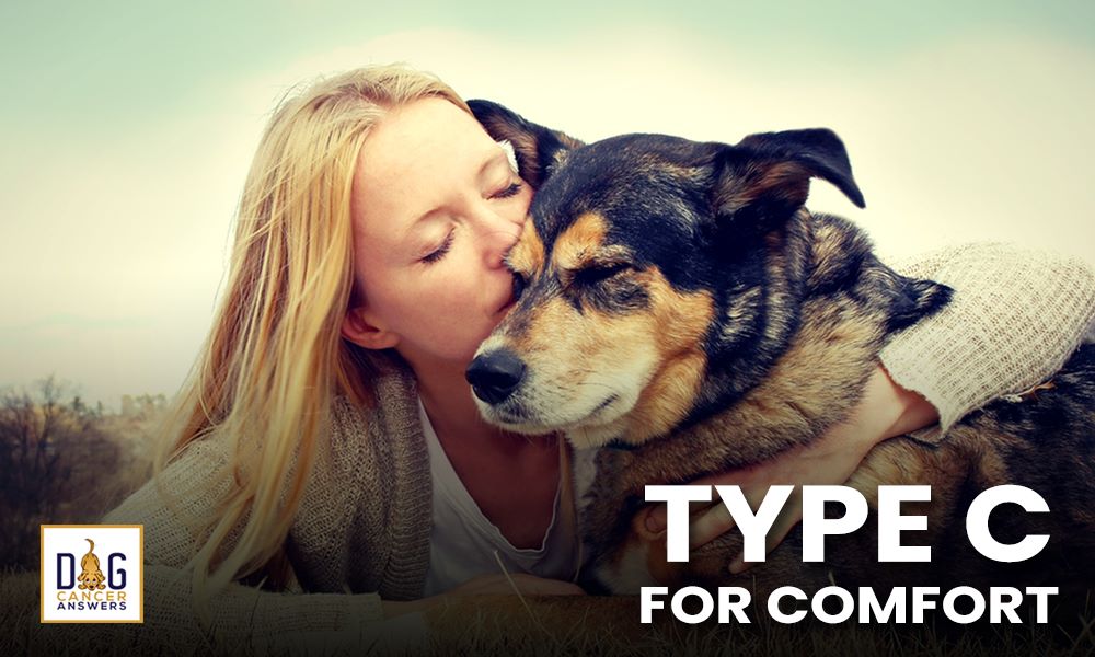 How Type C for Comfort Treats Dog Cancer