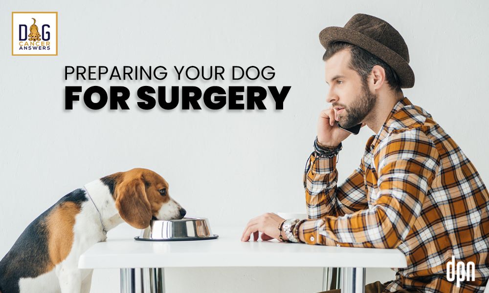 Preparing Your Dog for Surgery