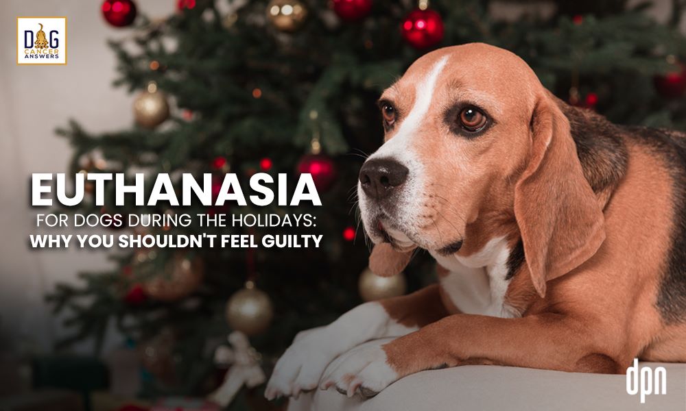 Euthanasia For Dogs During the Holidays