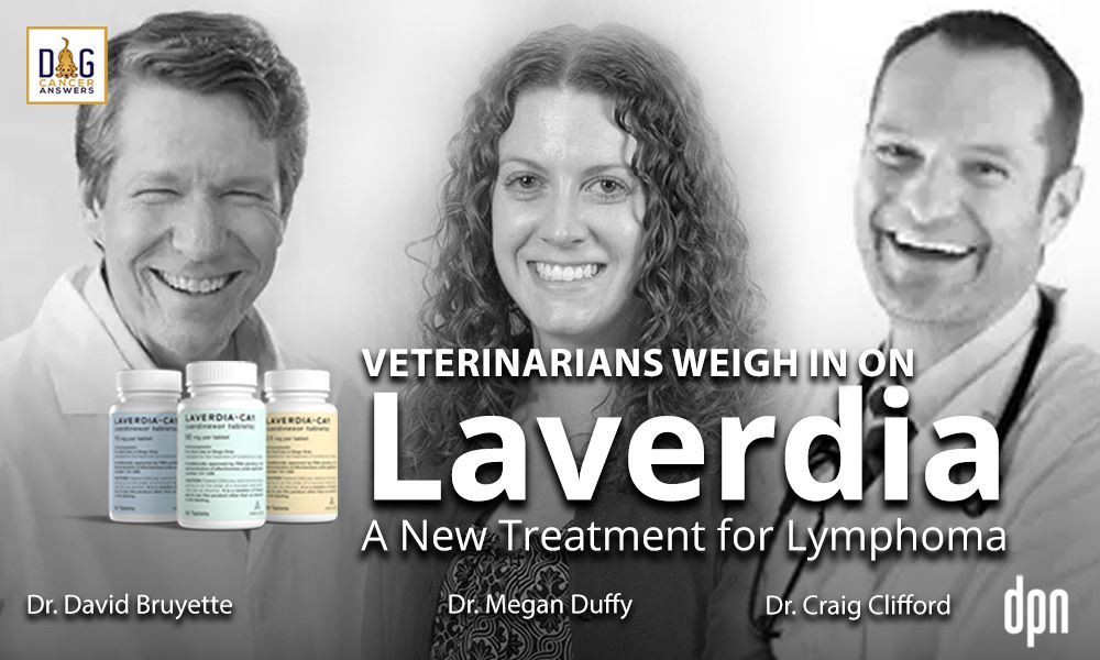 Laverdia- A New Treatment for Lymphoma