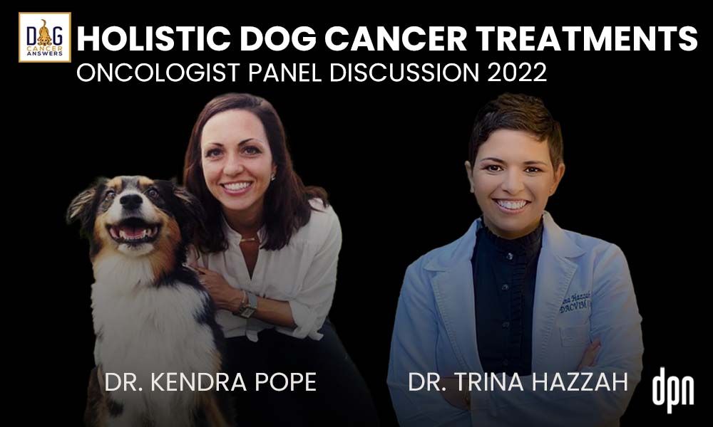 Holistic Dog Cancer Treatments - Oncologist Panel Discussion 2022