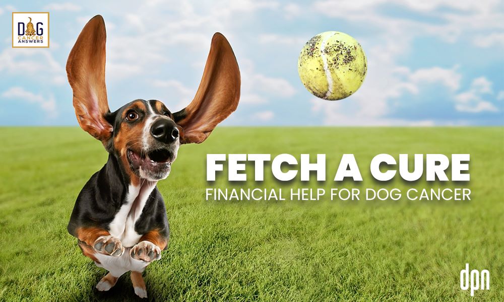 FETCH a Cure- Financial Help for Dog Cancer