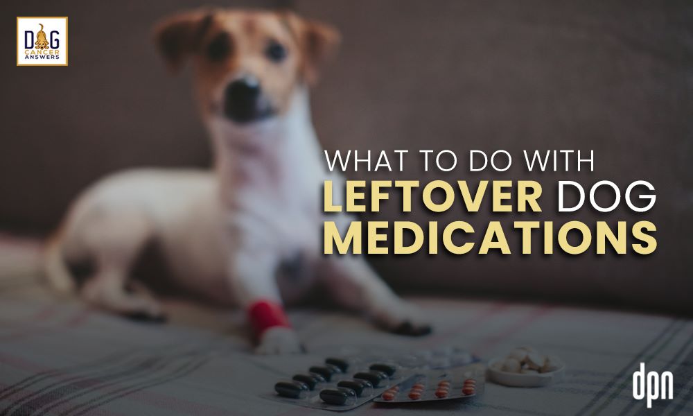 What to Do With Leftover Dog Medications