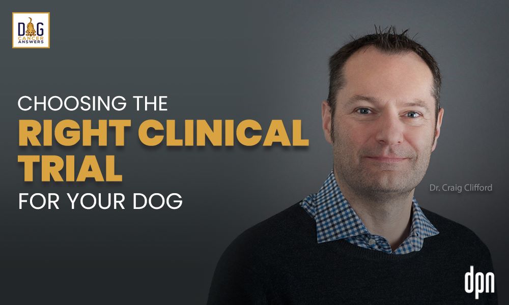 Choosing the Right Clinical Trial for Your Dog