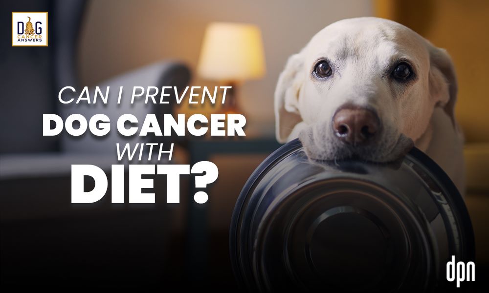 Can I Prevent Dog Cancer With Diet