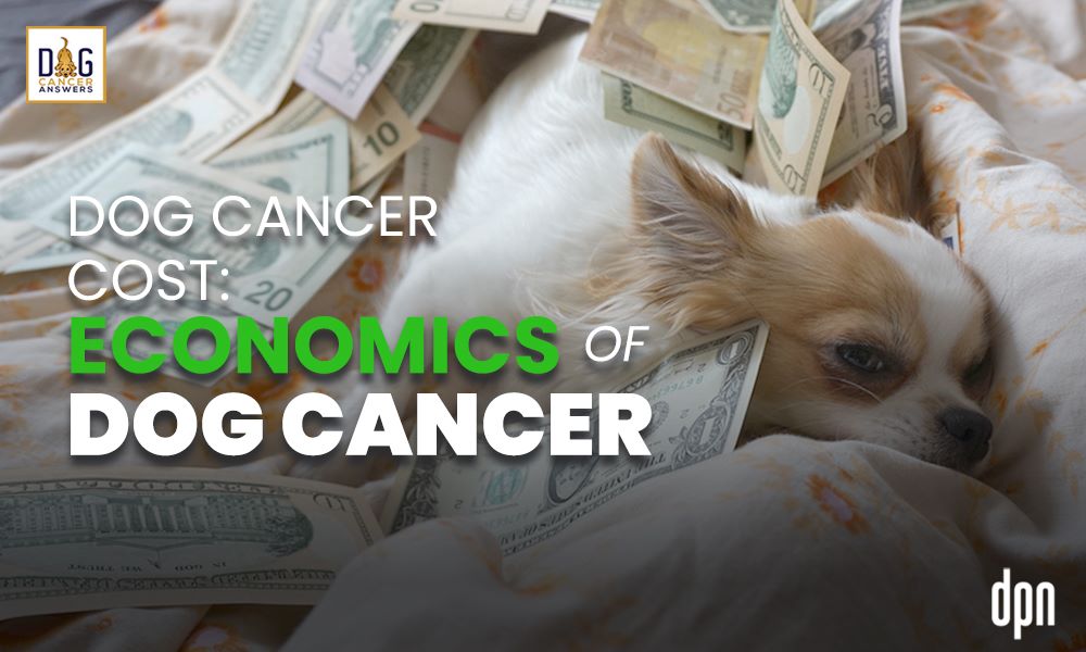 Dog Cancer Cost- Economics of Dog Cancer