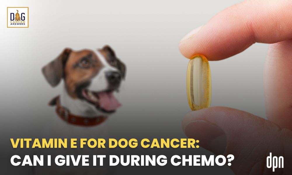 Vitamin E for Dog Cancer- Can I Give it During Chemo