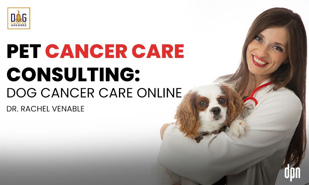 Pet Cancer Care Consulting- Dog Cancer Care Online