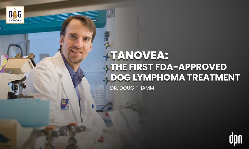 Tanovea- The First FDA-Approved Dog Lymphoma Treatment