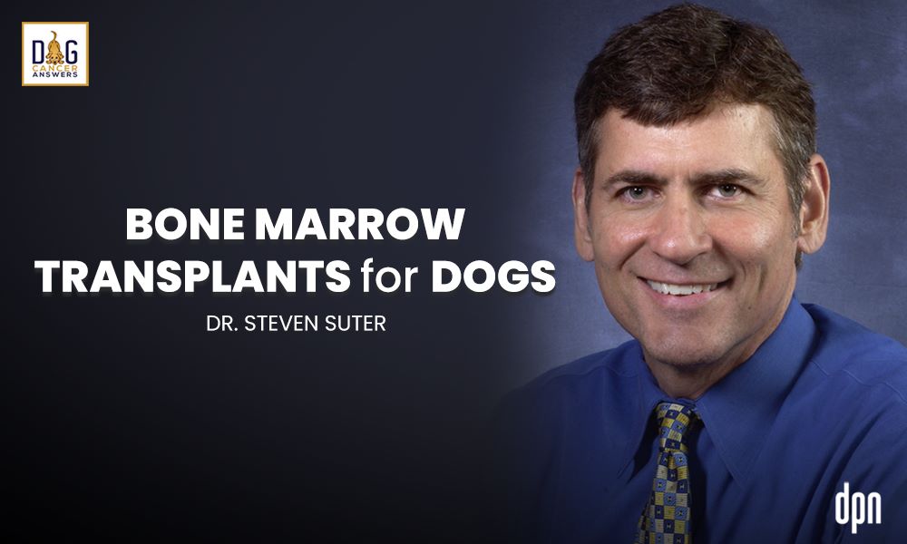 Bone Marrow Transplants for Dogs
