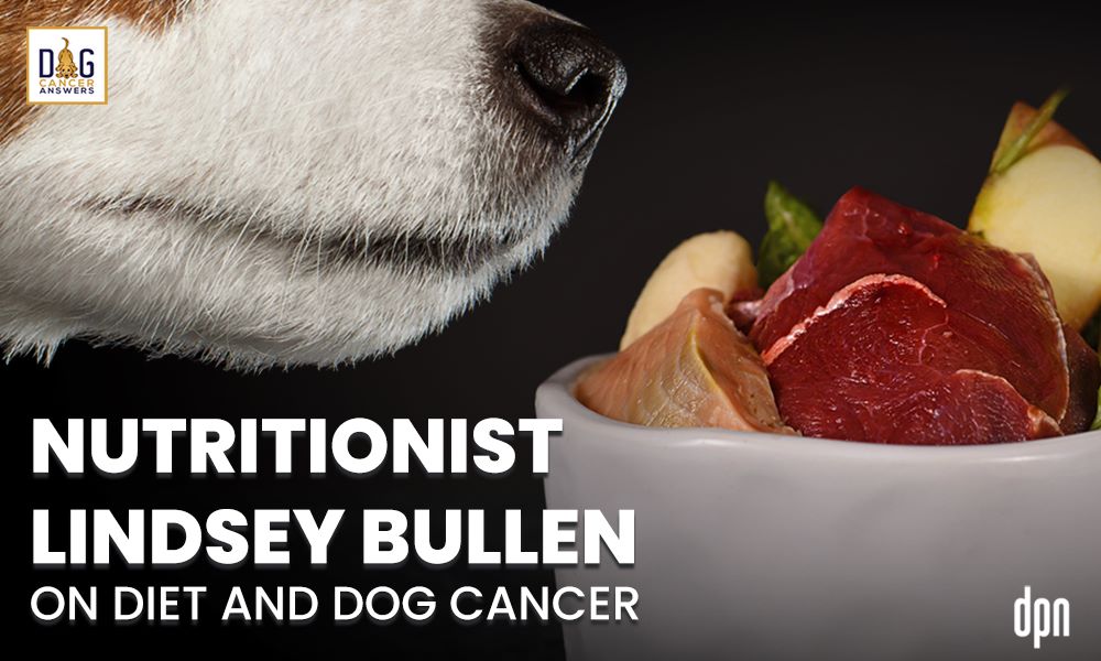 Nutritionist Lindsey Bullen on Diet and Dog Cancer