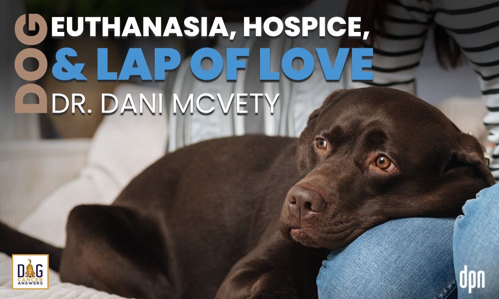 Dog Euthanasia, Hospice, and Lap of Love