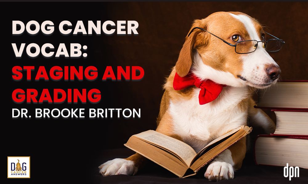Dog Cancer Vocab- Staging and Grading