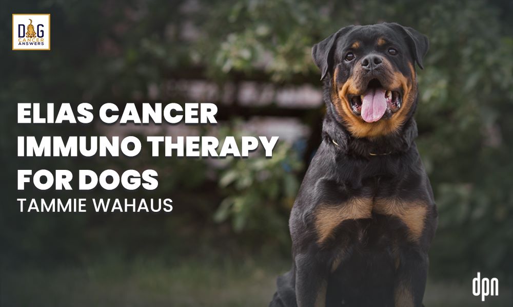 ELIAS Cancer Immunotherapy for Dogs