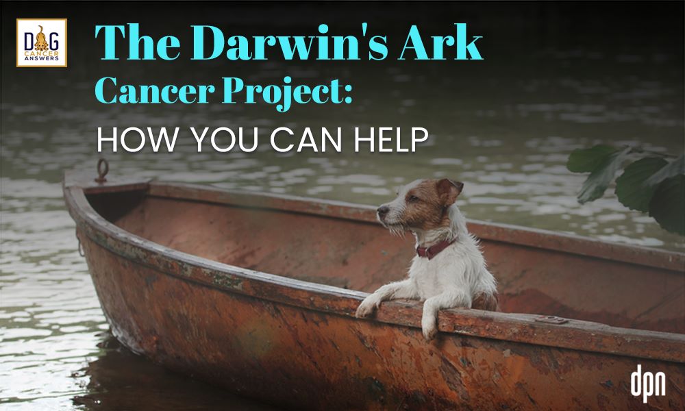 The Darwin's Ark Cancer Project - How You Can Help