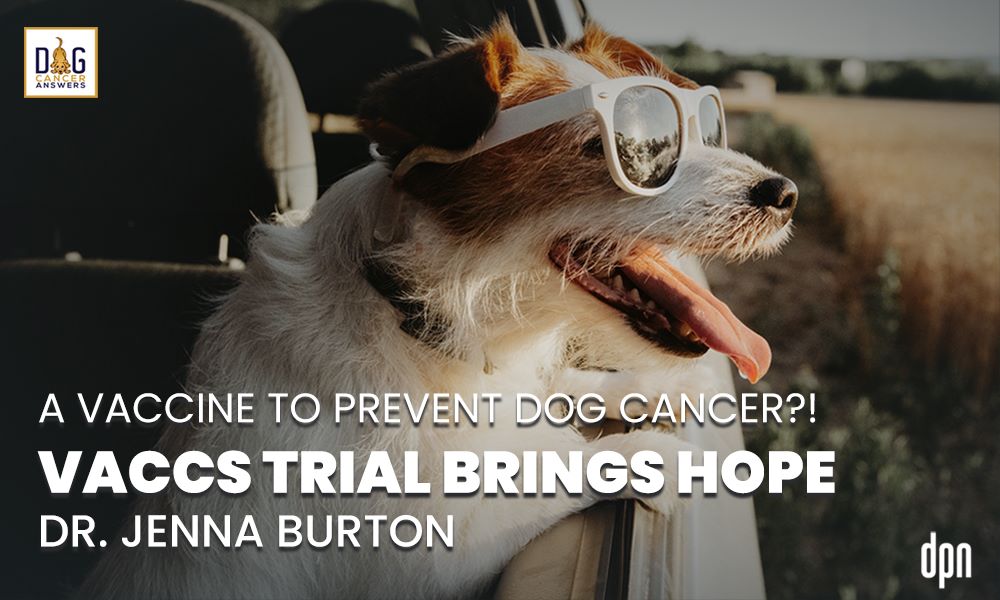 A Vaccine to Prevent Dog Cancer VACCS Trial Brings Hope