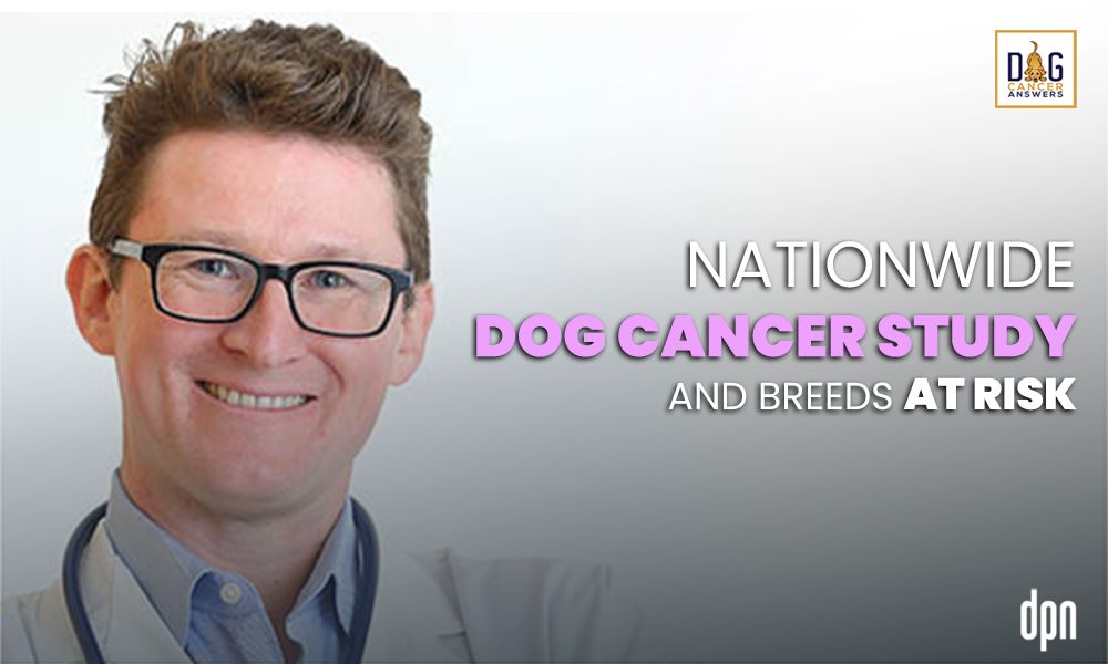 Nationwide Dog Cancer Study and Breeds at Risk