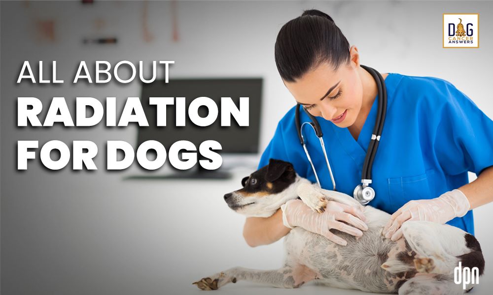 All About Radiation for Dogs