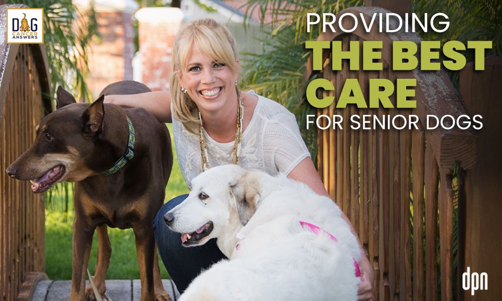 Providing the Best Care for Senior Dogs